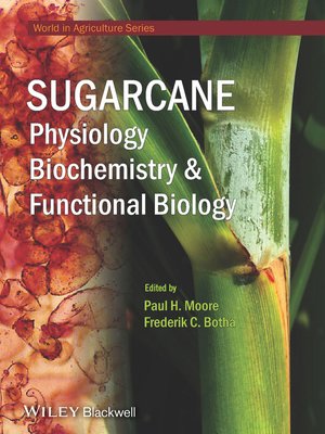 cover image of Sugarcane